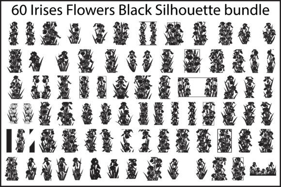 60 Irises Flowers Black Silhouette: A Practical Evaluation for Designers and Makers
