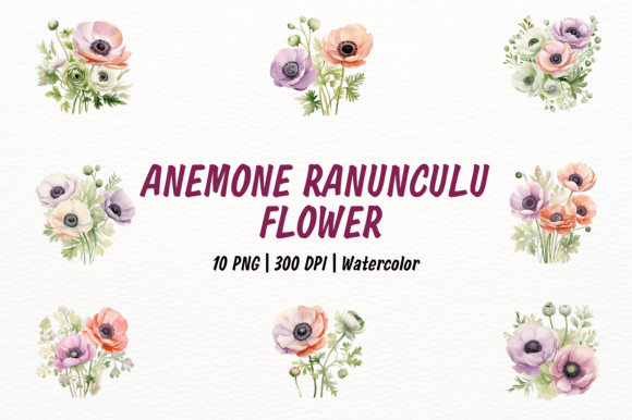 Anemone and Ranunculus Flower Clipart: A Versatile Resource for Creators