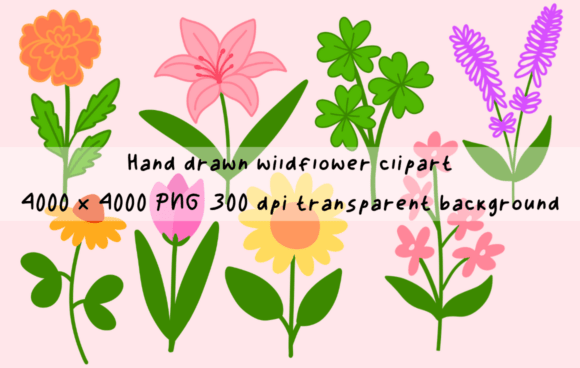 Elevating Creative Projects with Aesthetic Hand-Drawn Wildflower Clipart