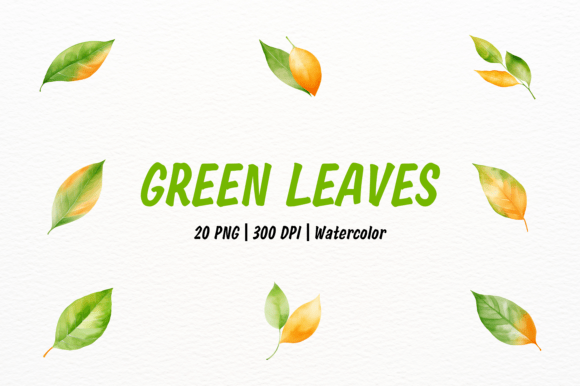 Green Orange Leaf Clipart for Design